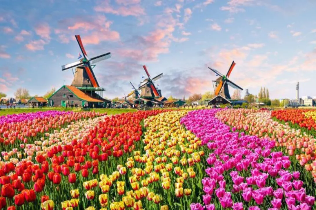 Fundraising in The Netherlands