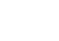 mindwize-logo-white